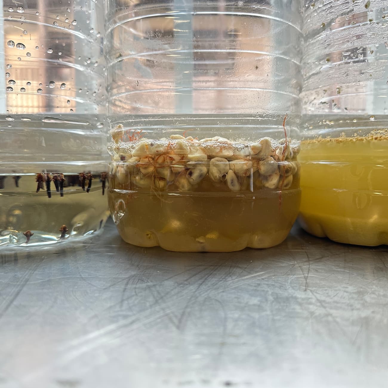 Home Affairs HISTOIRE D'INFUSION / INFUSION STORY