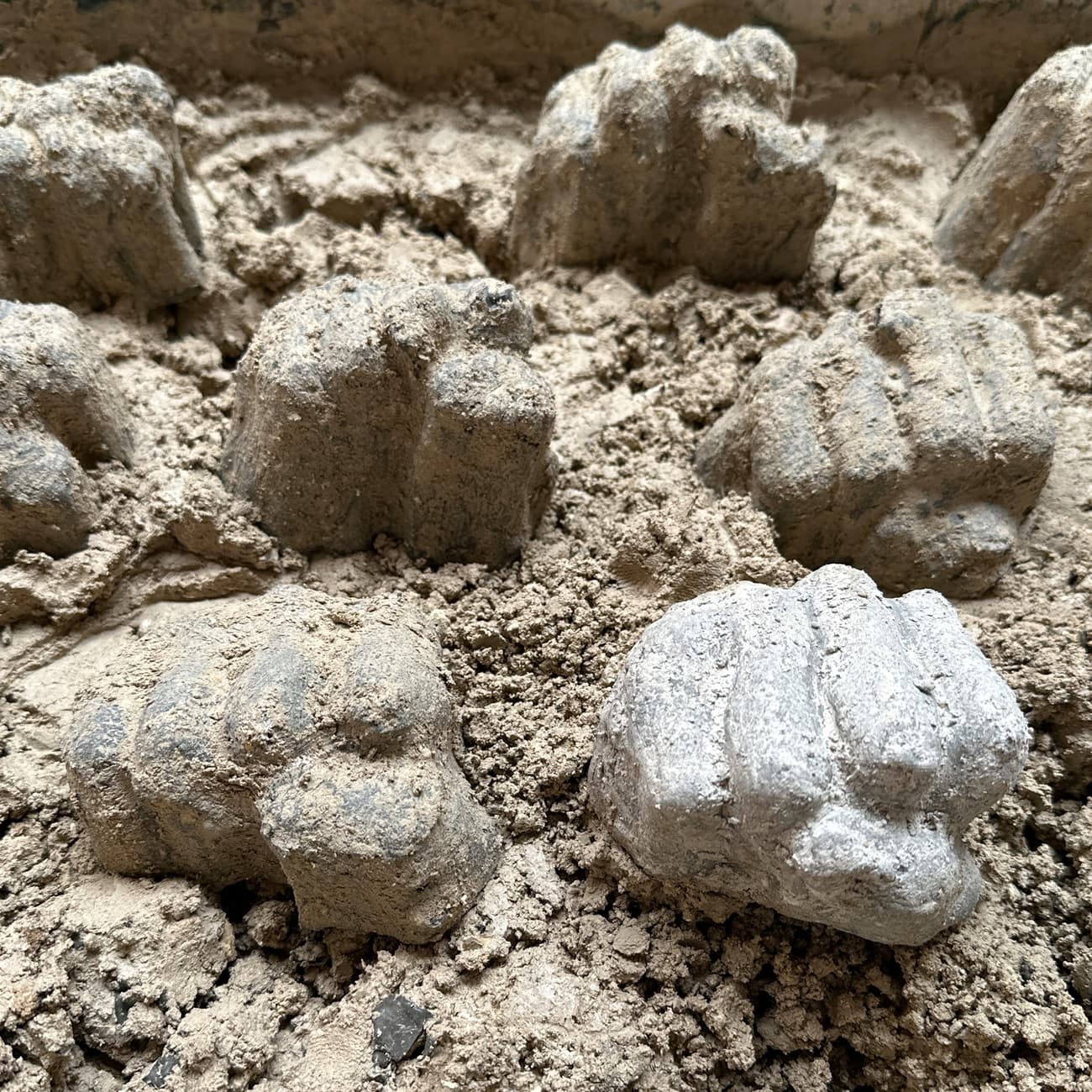 Home Affairs HISTOIRE DE POING / STORY OF FIST