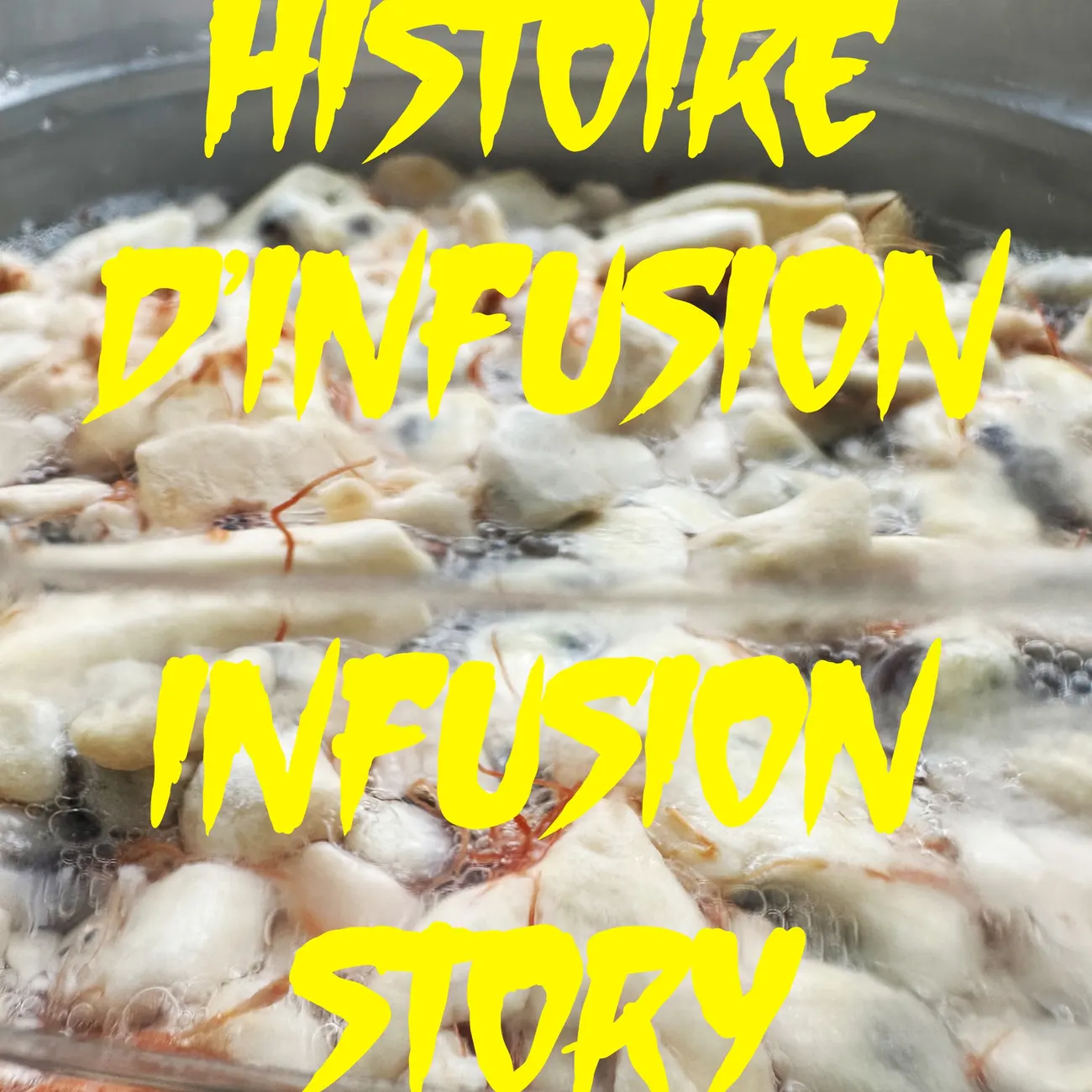 Home Affairs HISTOIRE D'INFUSION / INFUSION STORY